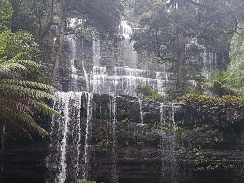 From Hobart: 2 Day Cradle Mountain Tour - The Itinerary Breakdown: What Makes Each Stop Special
