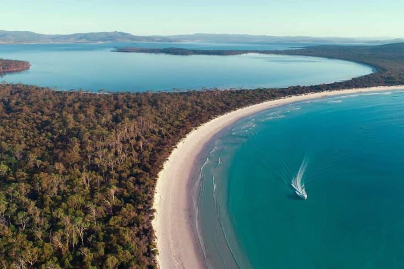 From Hobart: Day Tour to Maria Island with Bus Connection - Introduction