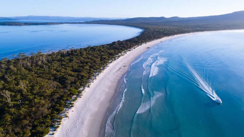 From Hobart: Day Tour to Maria Island with Bus Connection - The Sum Up