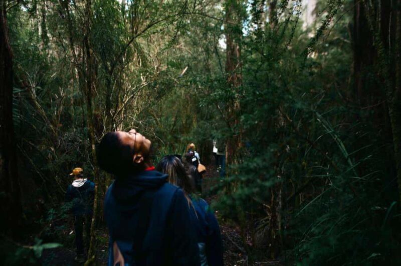 From Hobart: Full-Day Bruny Island Tour with Guide - Introduction: Why Consider a Day on Bruny Island?