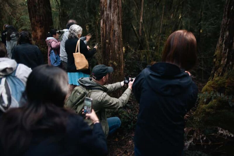 From Hobart: Full-Day Bruny Island Tour with Guide - Transportation, Group Size, and Overall Value