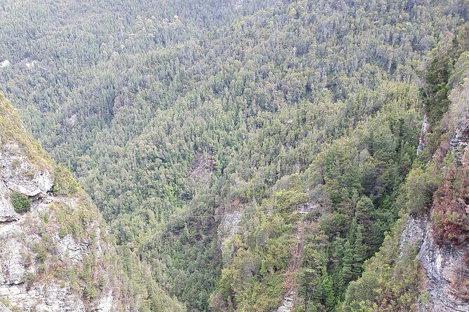 From Hobart: Gordon Dam and Lake Pedder Wilderness Day Tour - FAQs