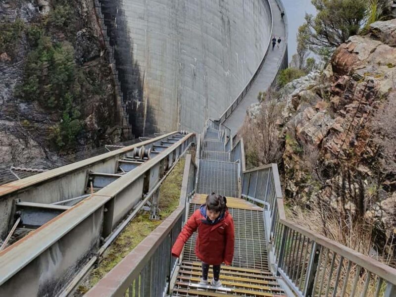 From Hobart: Gordon Dam and Lake Pedder Wilderness Day Tour - Who Will Love This Tour?
