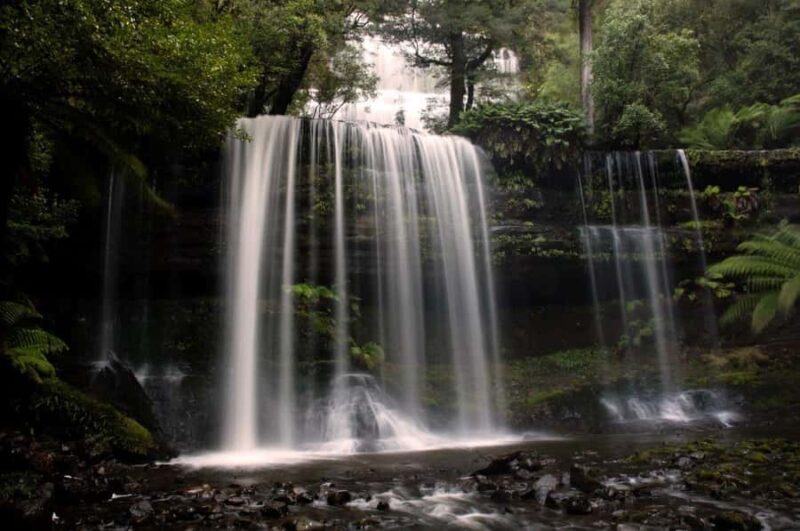 From Hobart: Mt. Field, Mt. Wellington and Wildlife Day Tour - Key Points