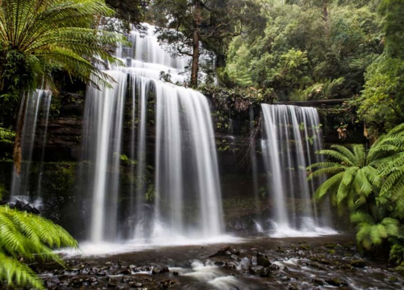 From Hobart: Mt. Field National Park and Russell Falls - Key Points