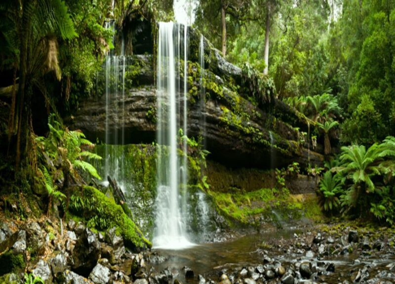 From Hobart: Mt. Field National Park and Russell Falls - Frequently Asked Questions