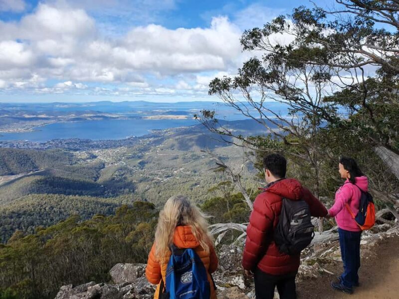 From Hobart: Mt Wellington Morning Walking Tour - An In-Depth Look at This Mt. Wellington Tour