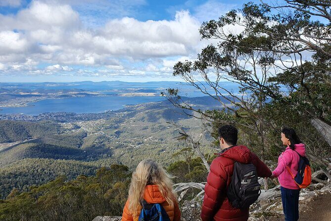 From Hobart: Mt Wellington Morning Walking Tour - An In-Depth Look at the Tour Itinerary