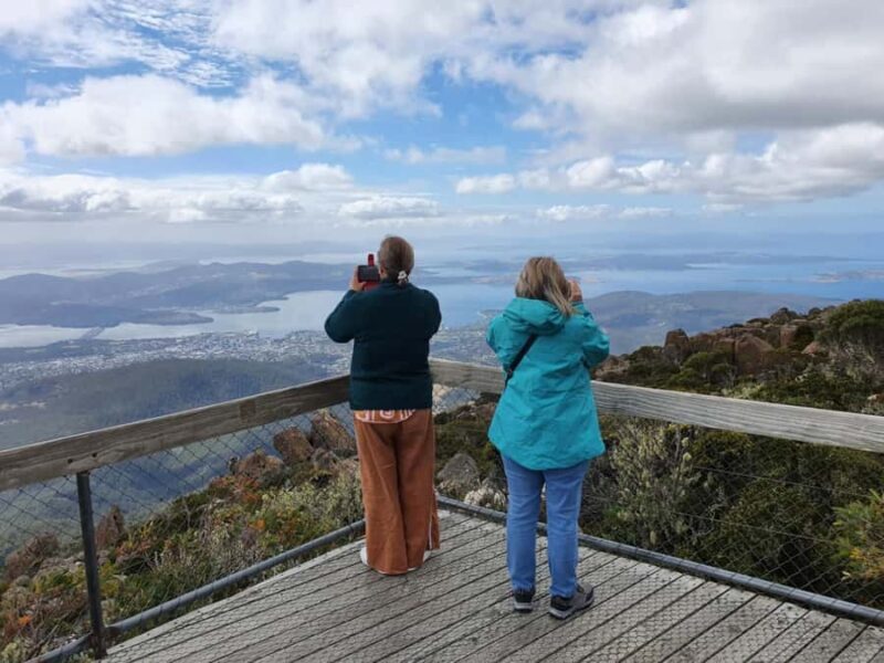 From Hobart: Mt Wellington Pinnacle 2 Hour Small Group Tour - Final Thoughts