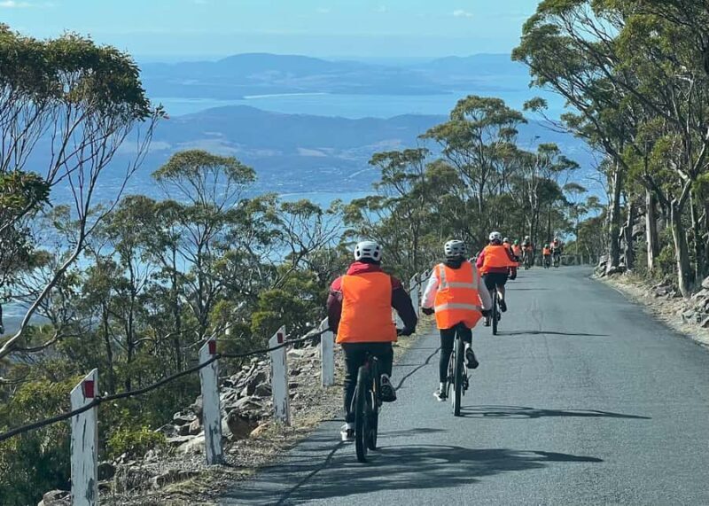 From Hobart: Mt Wellington Summit & Rainforest Bike Tour - Introduction
