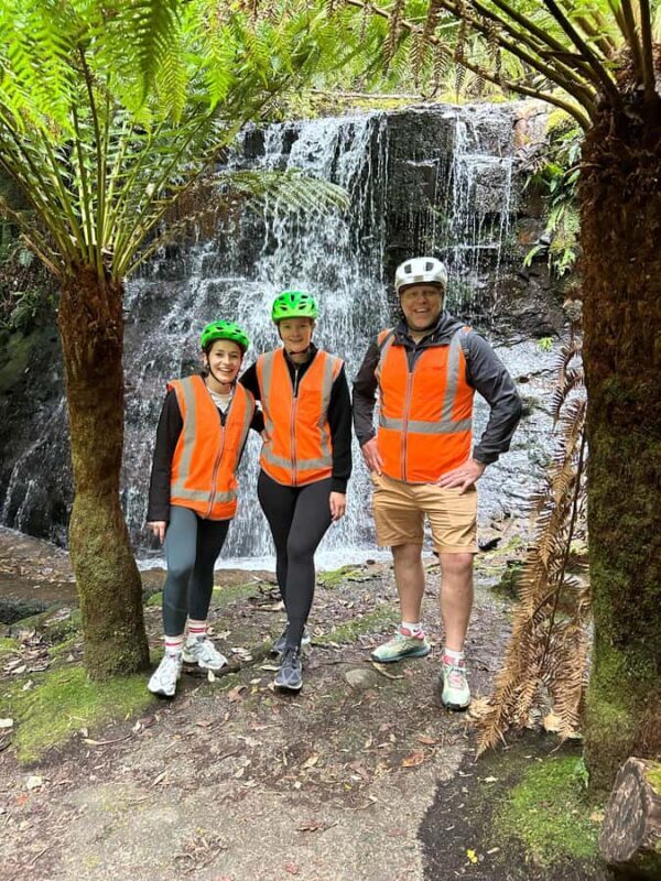 From Hobart: Mt Wellington Summit & Rainforest Bike Tour - Why It Works: The Highlights
