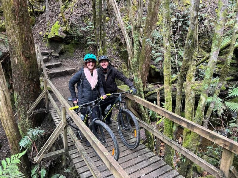 From Hobart: Mt Wellington Summit & Rainforest Bike Tour - Practical Considerations