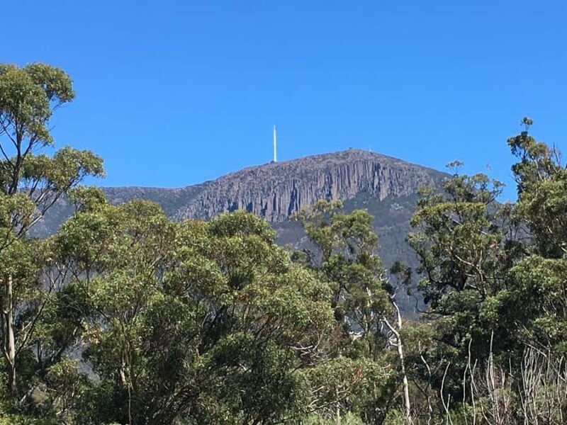 From Hobart: Mt Wellington Summit & Rainforest Bike Tour - FAQ