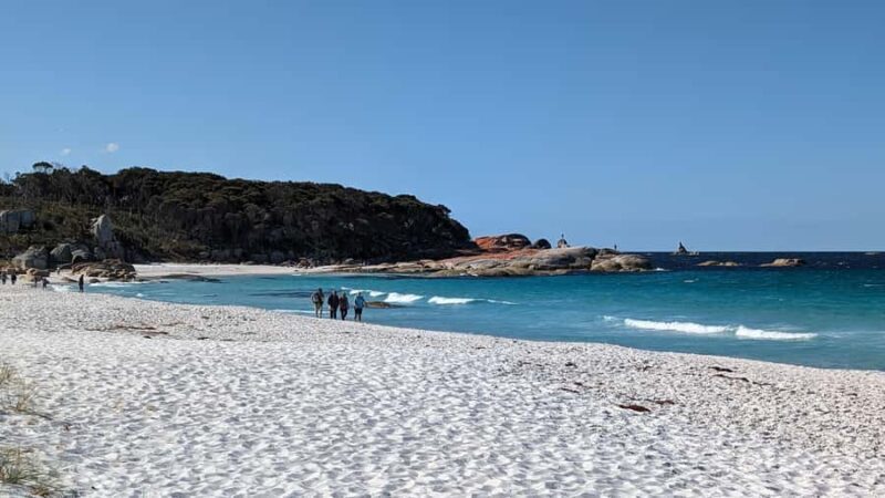 From Hobart: The Ultimate 10-Day Tour of Tasmania's Regions - Who Should Consider This Tour?