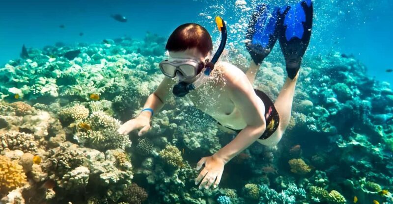 From Hoi An/ Da Nang: Swimming & Snorkeling In Cham Islands - Who Will Love This Experience?