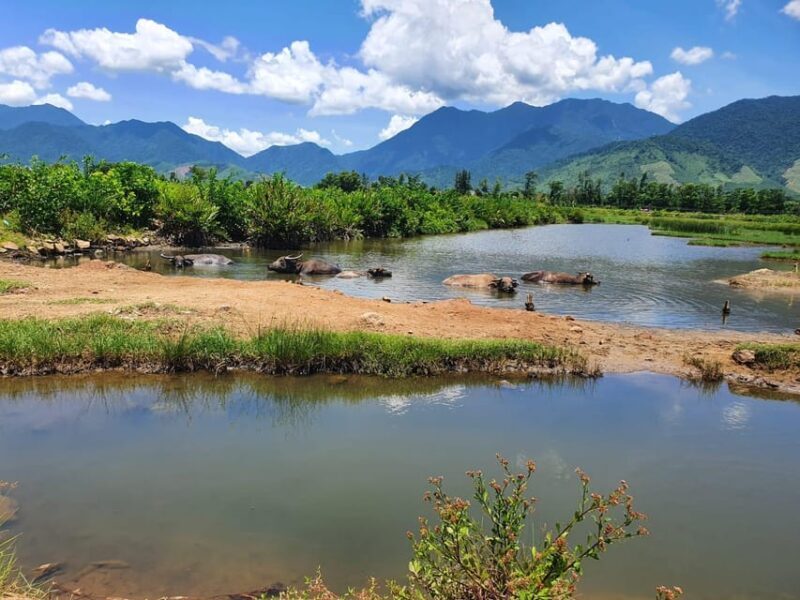 From Hoi An/Danang: Hai Van Pass Motorbike Tour to Hue - FAQs
