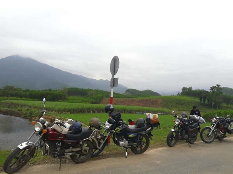 From Hoi An: Hai Van Pass Motorbike Tour to Hue Easyrider - Reviews Reflecting Authentic Experiences