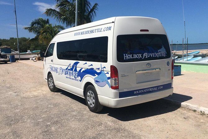From Holbox to Cancun Private Transportation - The Day of Travel: What to Expect