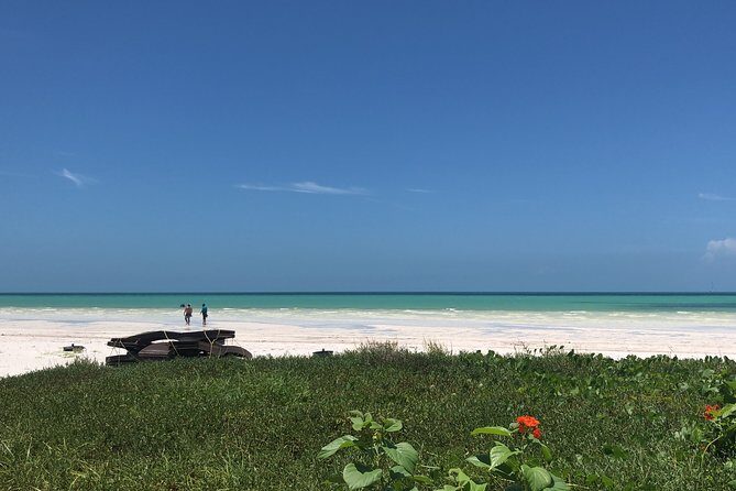 From Holbox to Cancun Private Transportation - Who is This Best For?