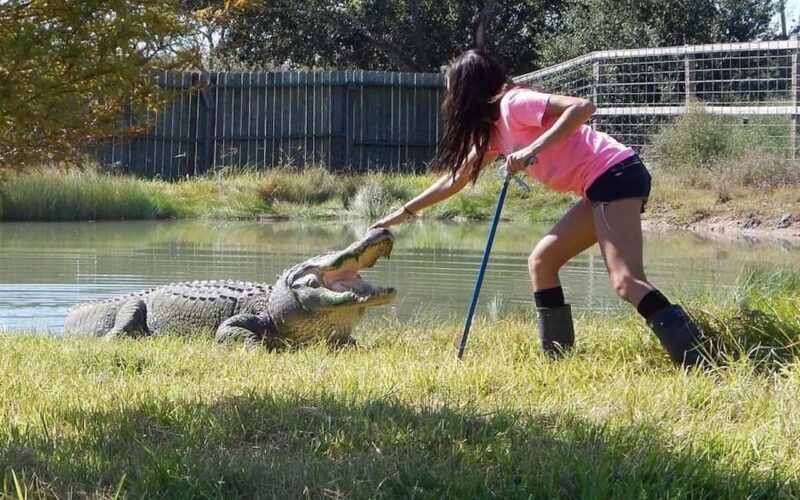 From Houston: Crocodile Encounter Entry Ticket - Key Points