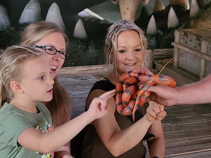 From Houston: Crocodile Encounter Entry Ticket - An In-Depth Look at the Crocodile Encounter Experience