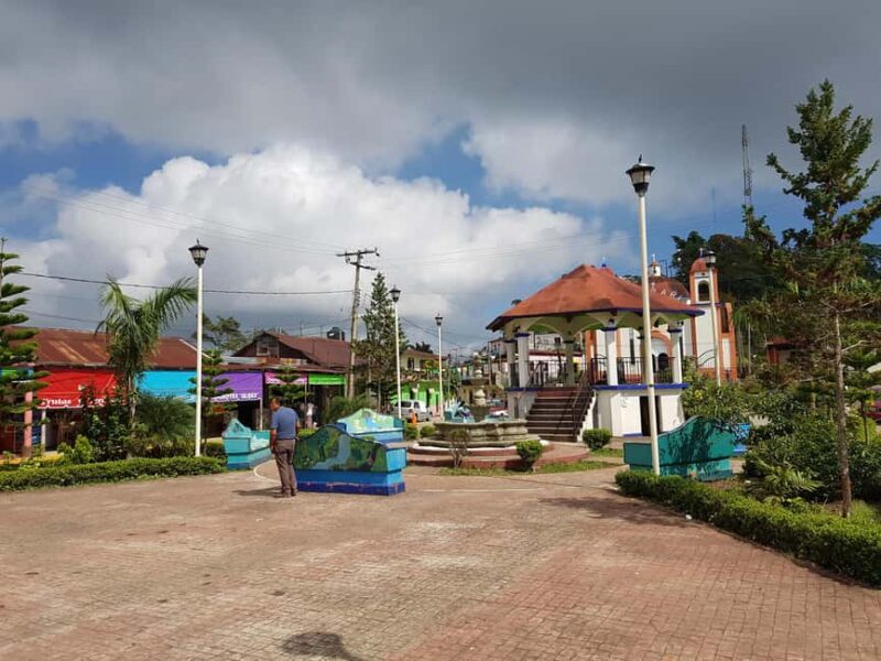 From Huatulco: 3 Levels, Coffee, Culture, and Nature Tour - Exploring the Details of the Tour