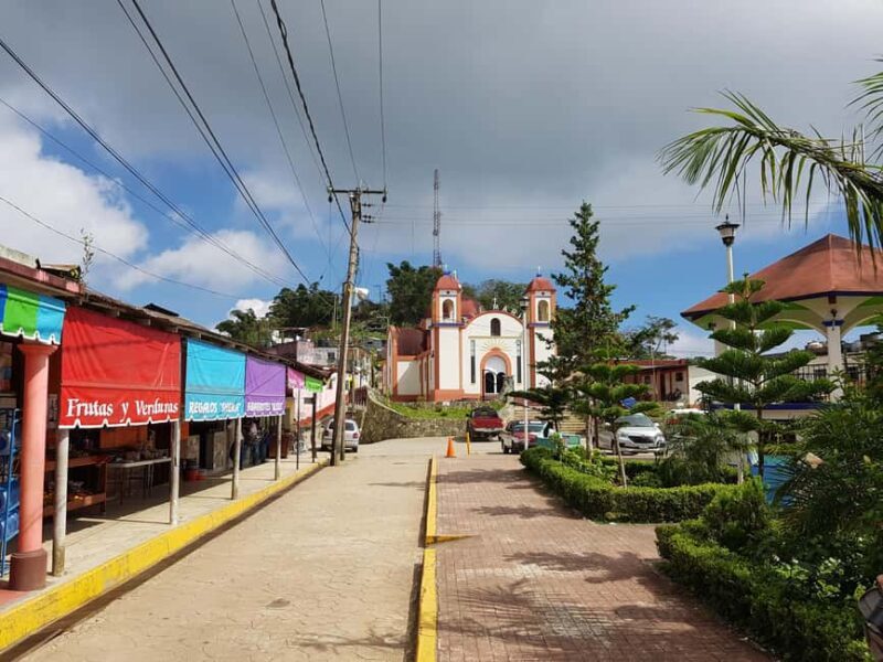 From Huatulco: 3 Levels, Coffee, Culture, and Nature Tour - Final Thoughts