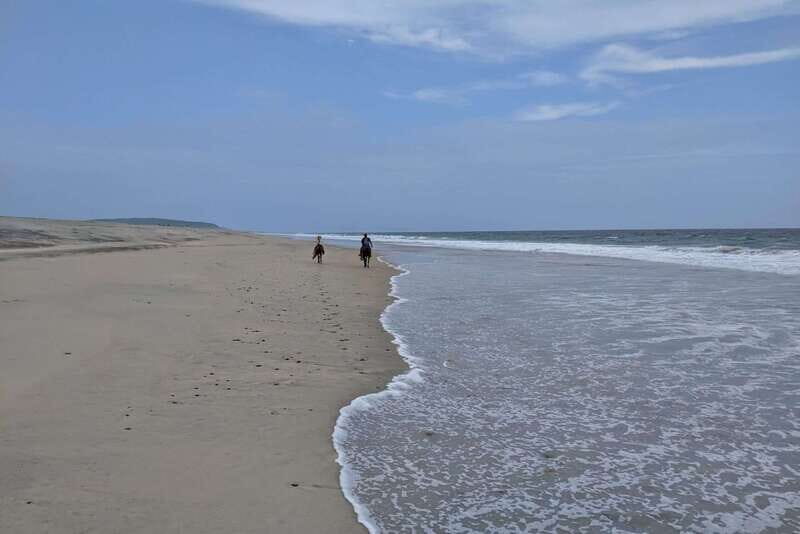 From Huatulco: Beach Horseback Riding Experience - Key Points