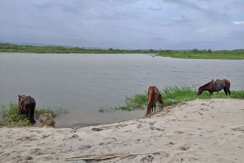 From Huatulco: Beach Horseback Riding Experience - Final Thoughts