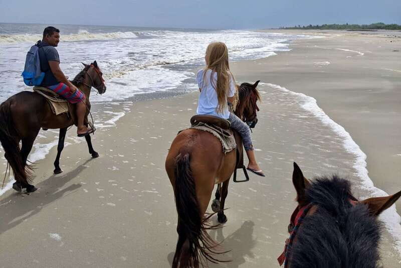 From Huatulco: Beach Horseback Riding Experience - Who Should Book This?