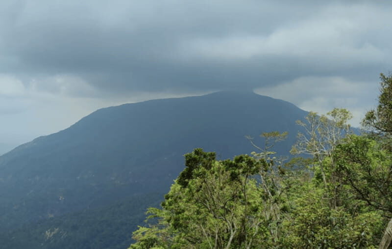 From Huatulco: Coffee and Mezcal Tour - A Well-Curated Journey into Oaxaca’s Coffee and Mezcal Roots