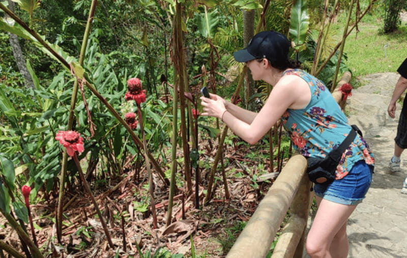 From Huatulco: Coffee and Mezcal Tour - Tasting Oaxaca’s Spirit: Mezcal with a Local Touch