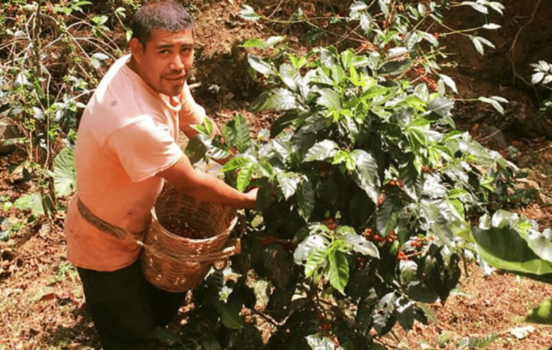From Huatulco: Coffee and Mezcal Tour - FAQs