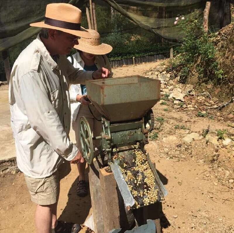 From Huatulco: Coffee Private Experience - Key Points