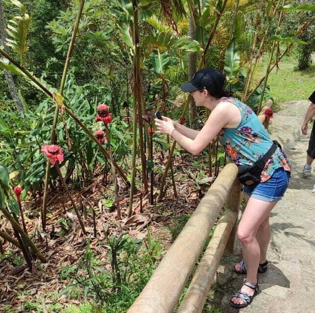 From Huatulco: Coffee Private Experience - Who Will Love This Tour?