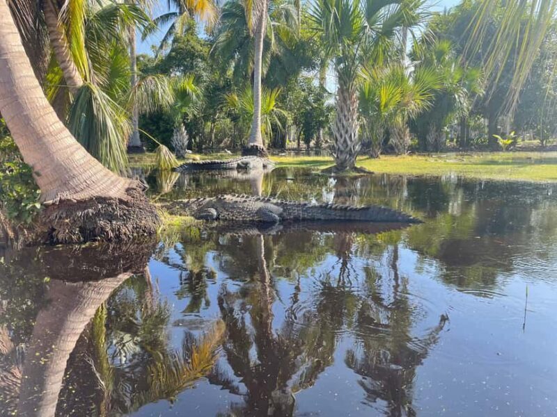 From Huatulco: Crocodile and Turtle Eco-Tour - Introduction: An Authentic Eco-Adventure in Oaxaca