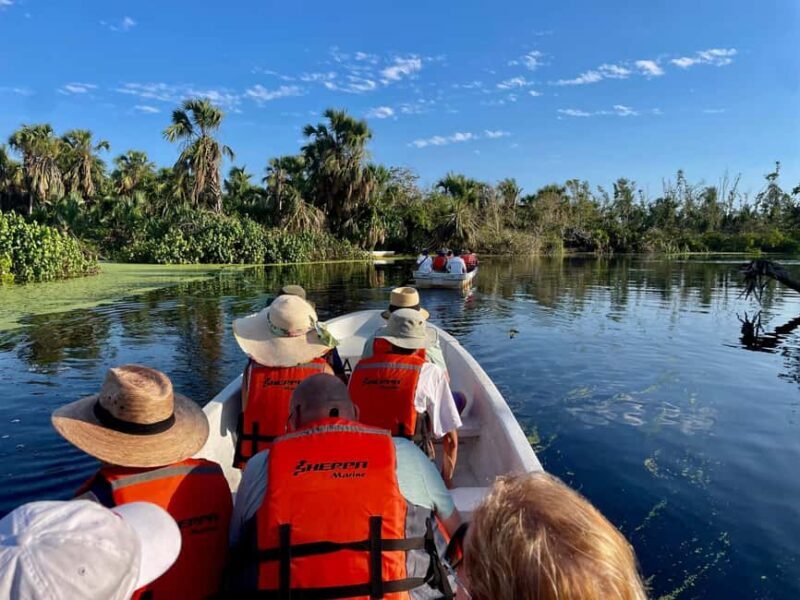 From Huatulco: Crocodile and Turtle Eco-Tour - Discovering Ventanilla: The Heart of Wildlife and Conservation