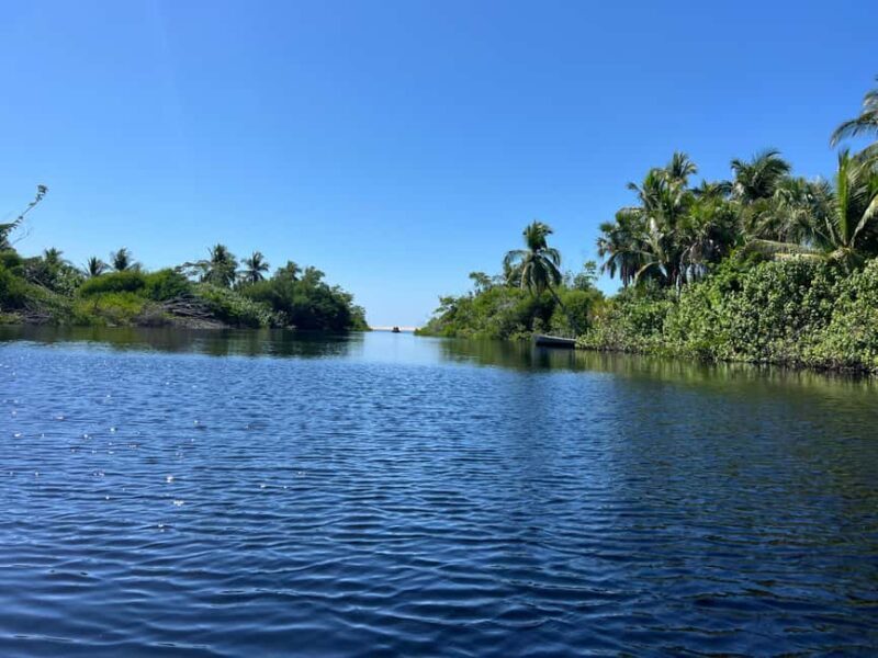 From Huatulco: Crocodile and Turtle Eco-Tour - Authenticity and Value