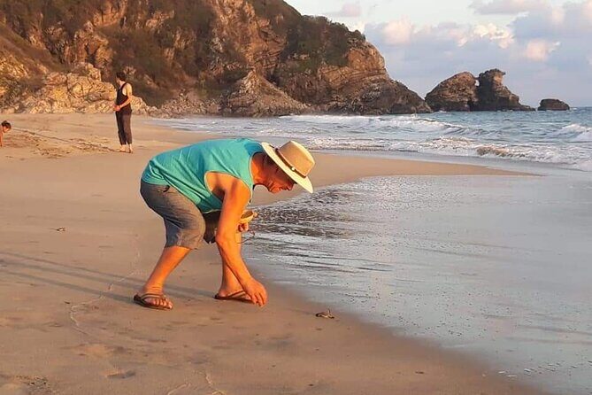 From Huatulco: Turtle Release & Bioluminescence - Who Should Consider This Tour?