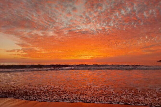 From Huatulco: Turtle Release & Bioluminescence - Frequently Asked Questions
