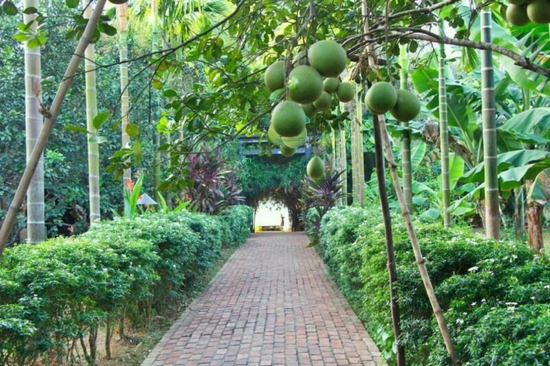 From Hue: 1 day COOKING CLASS IN THUY BIEU VILLAGE - Starting Out from Hue