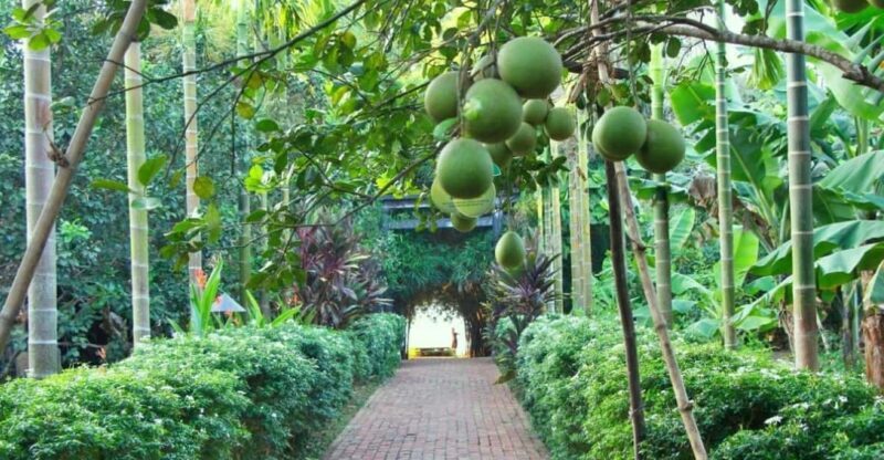 From Hue: 1 day COOKING CLASS IN THUY BIEU VILLAGE - Engaging with Local Crafts and Daily Life