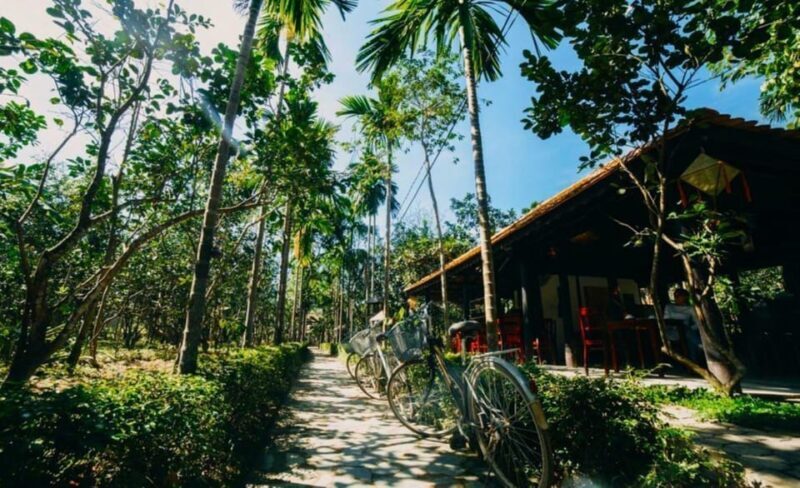 From Hue: 1 day COOKING CLASS IN THUY BIEU VILLAGE - Transportation and Timing