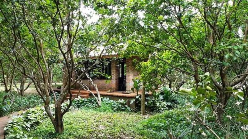 From Hue: 1 day COOKING CLASS IN THUY BIEU VILLAGE - Authenticity and Local Flavor