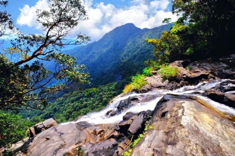 From Hue : Bach Ma National Park Hiking Day Adventure - What People Are Saying