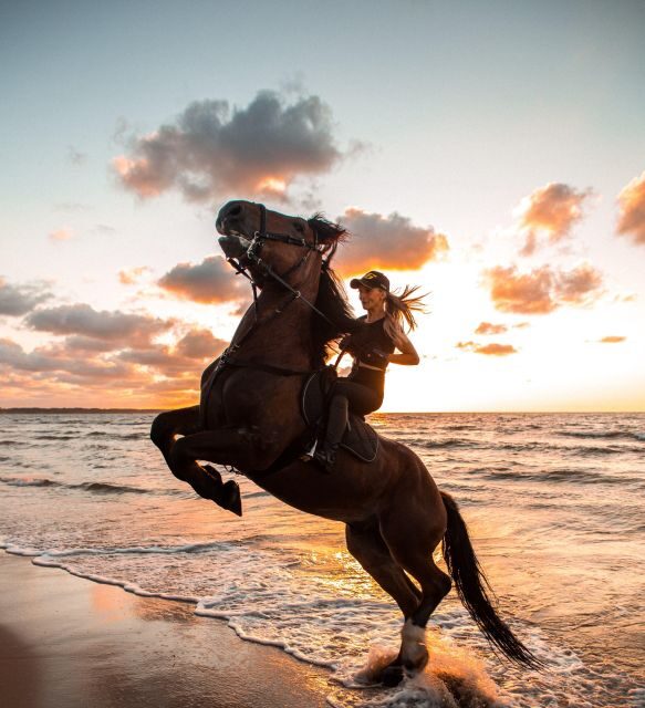 From Hurghada: Makadi Bay Horse Riding Tour - Key Points