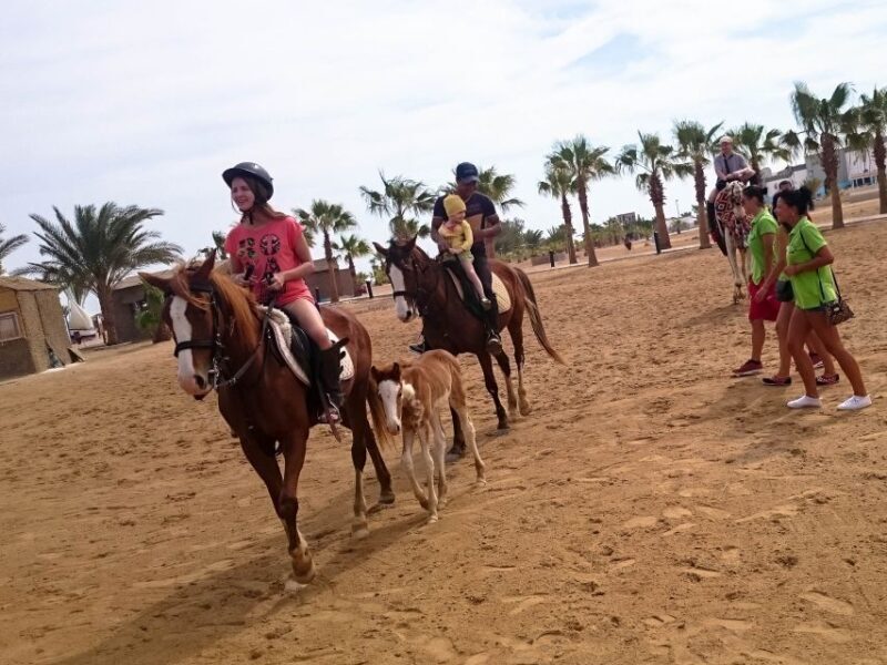 From Hurghada: Makadi Bay Horse Riding Tour - FAQ