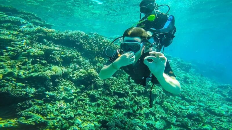 From Hurghada: Orange bay Snorkeling Cruise with Lunch - The Sum Up