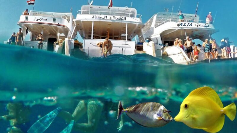 From Hurghada: Scuba Diving with Expert Guide & 2 Dives - Key Points