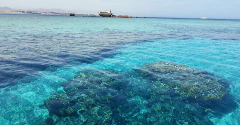 From Hurghada: Scuba Diving with Expert Guide & 2 Dives - Who Should Consider This Tour?